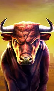 Black Bull
